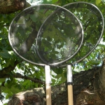 1016494_301651043304387_1832224326_n