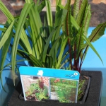 602121_273513012784857_1452895549_n