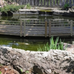 7202_306269556175869_850510682_n