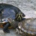 944173_306082046194620_1450000961_n