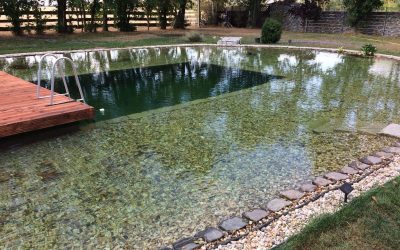 Unser Sortiment vom Teichbau bis zu Kois und Futtermittel